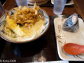 20130208124553