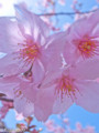 20130322094407