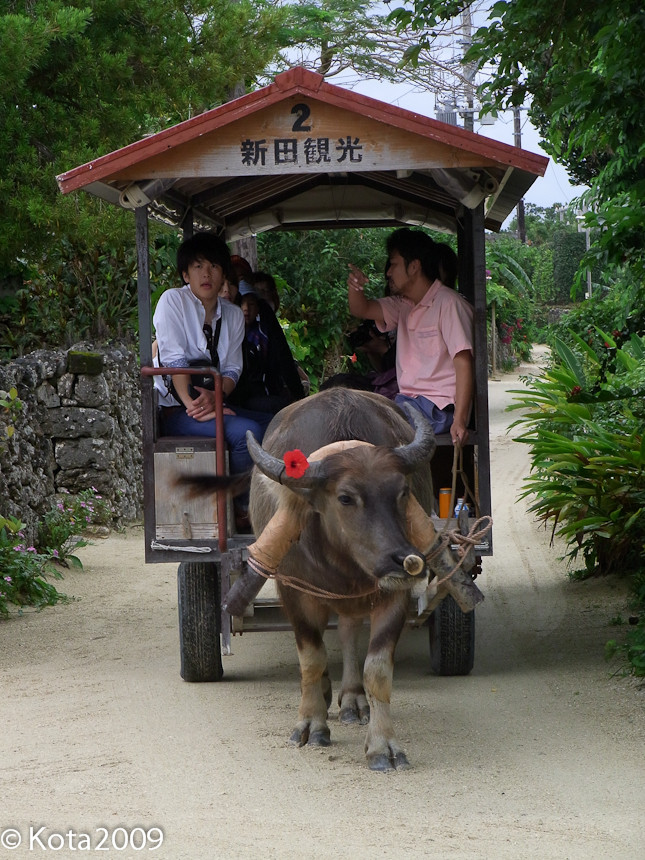 f:id:kota2009:20130428095847j:image:w240 f:id:kota2009:20130428095847j:image:w240