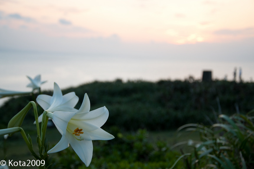 f:id:kota2009:20130428190505j:image:w360 f:id:kota2009:20130428190505j:image:w360
