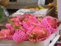 20130429102622