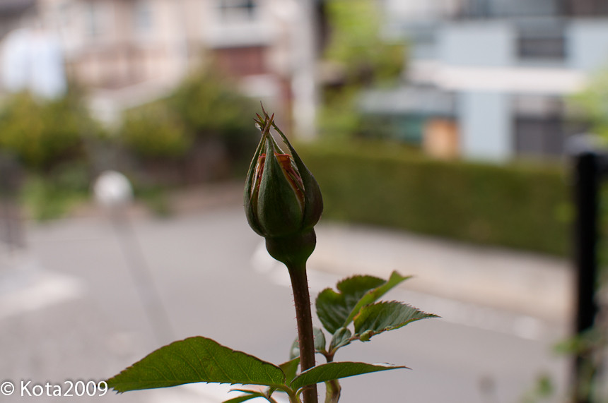 20130502135430