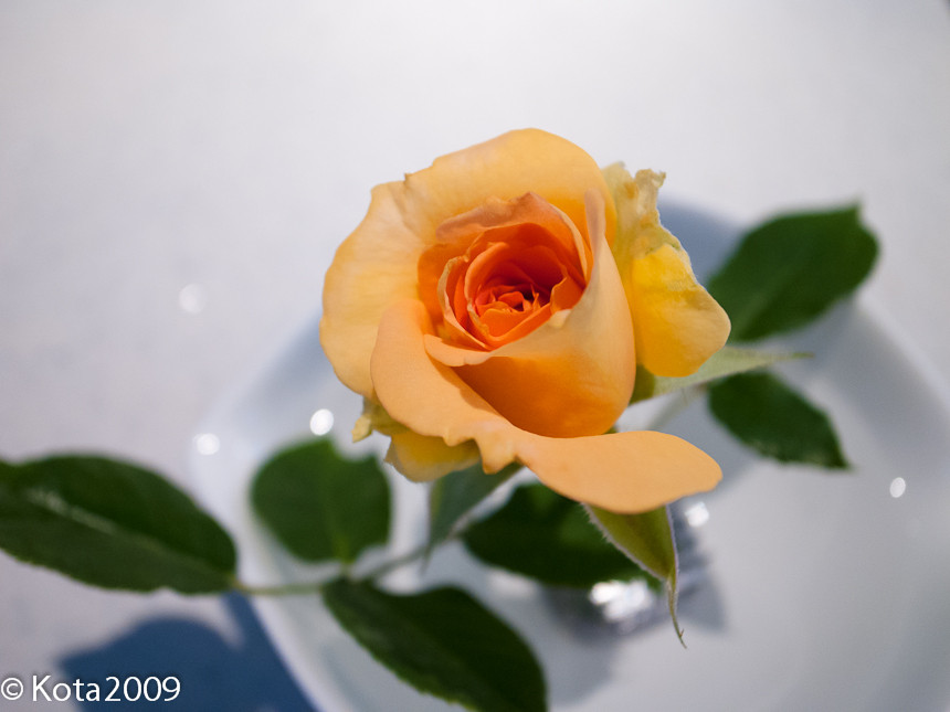 20130611071728