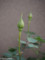 20140504133930