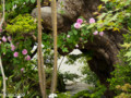 20140510133122