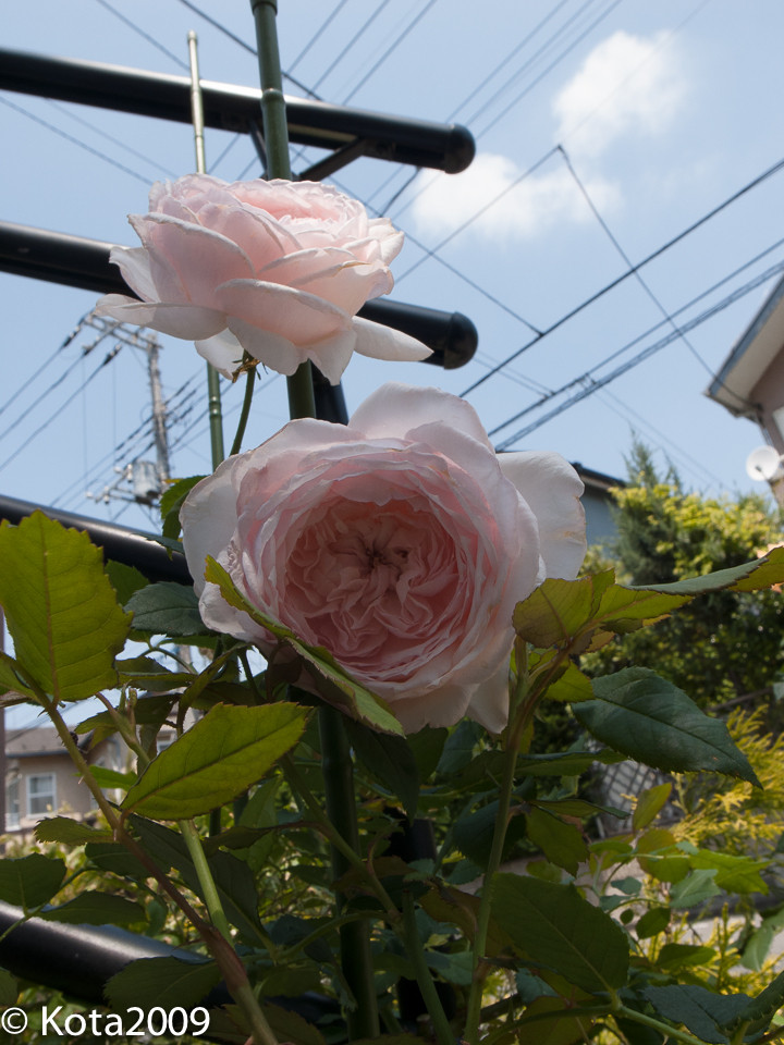 20140524110202