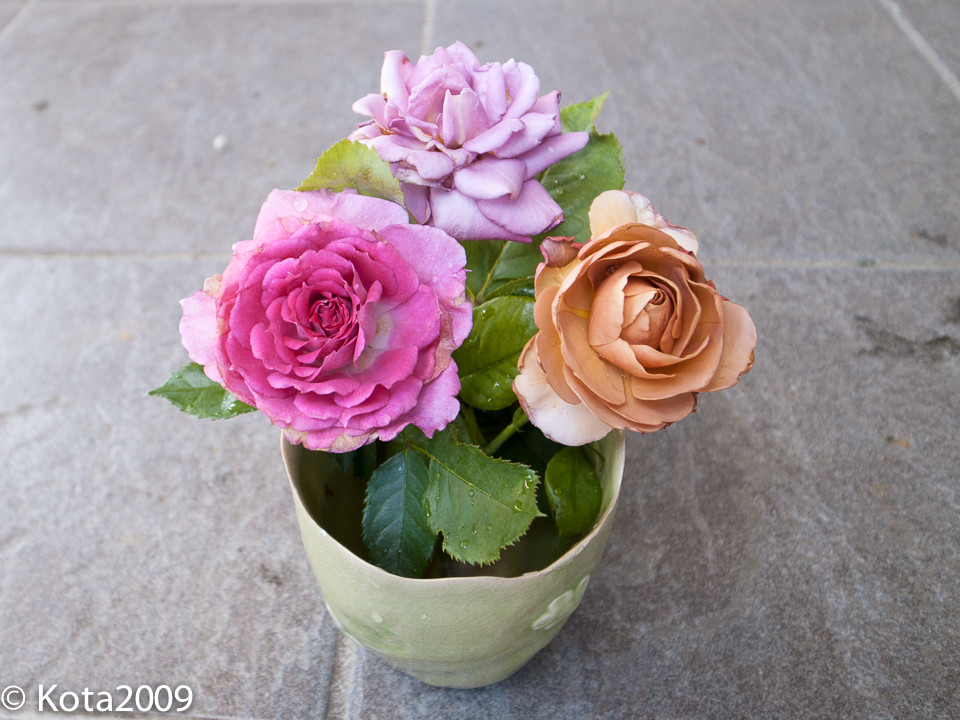 f:id:kota2009:20140615082205j:image:w640