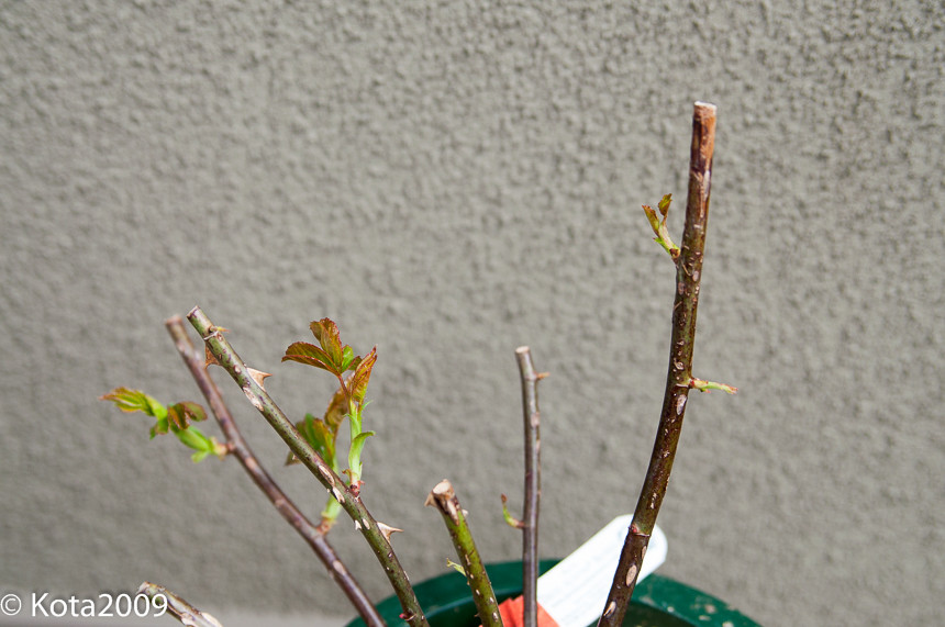 20150321133753