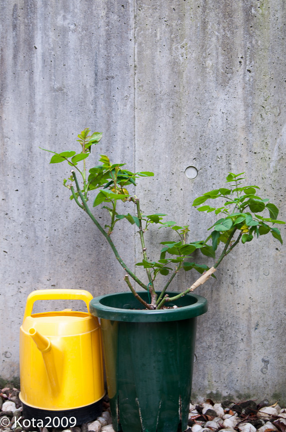 20150405094308