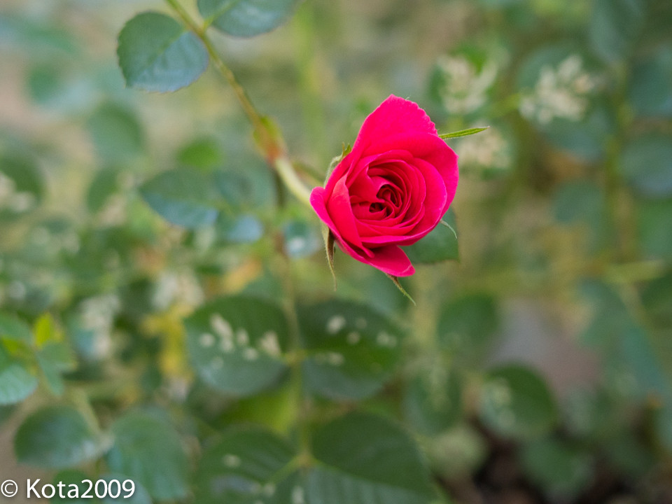 20150429171814