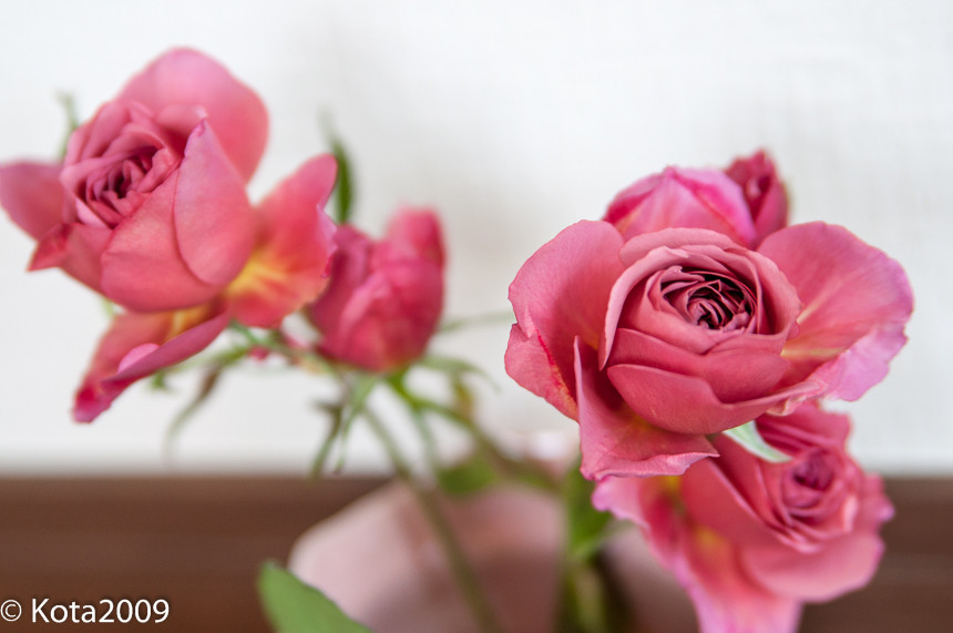 f:id:kota2009:20150503142502j:image:w640 f:id:kota2009:20150503142502j:image:w640