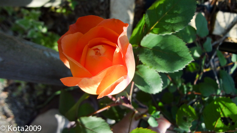 20150510063801