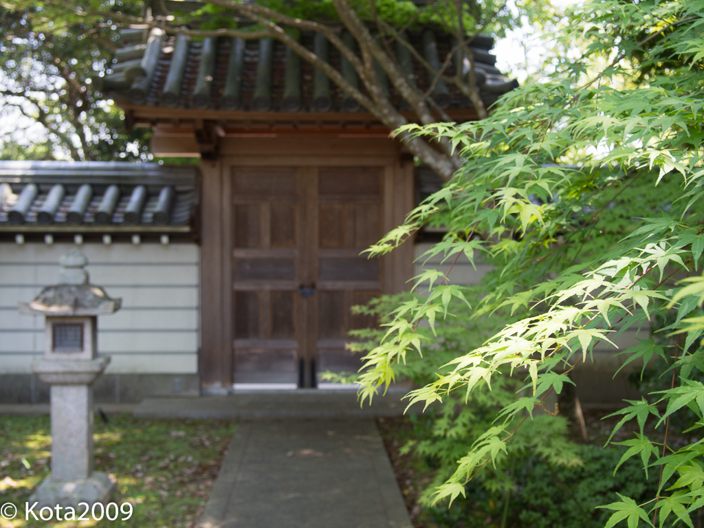 f:id:kota2009:20160430115036j:image:w640