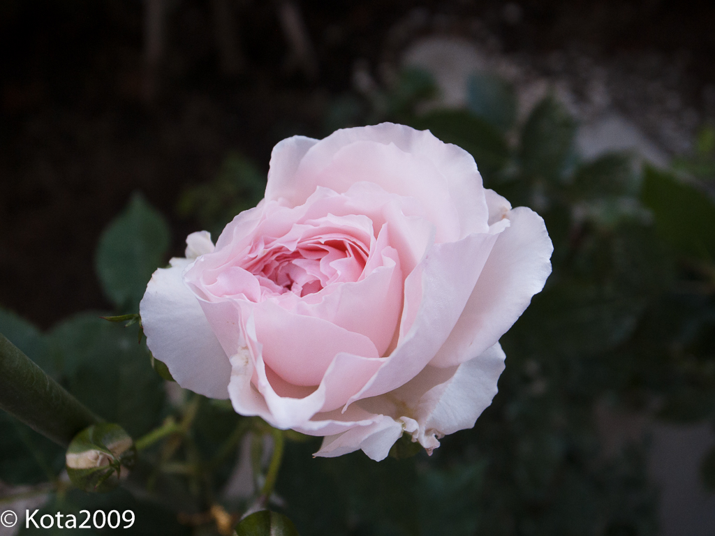20160512053352