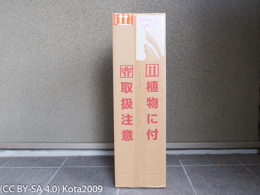 バラ リベルラを購入 - kotaのブログ