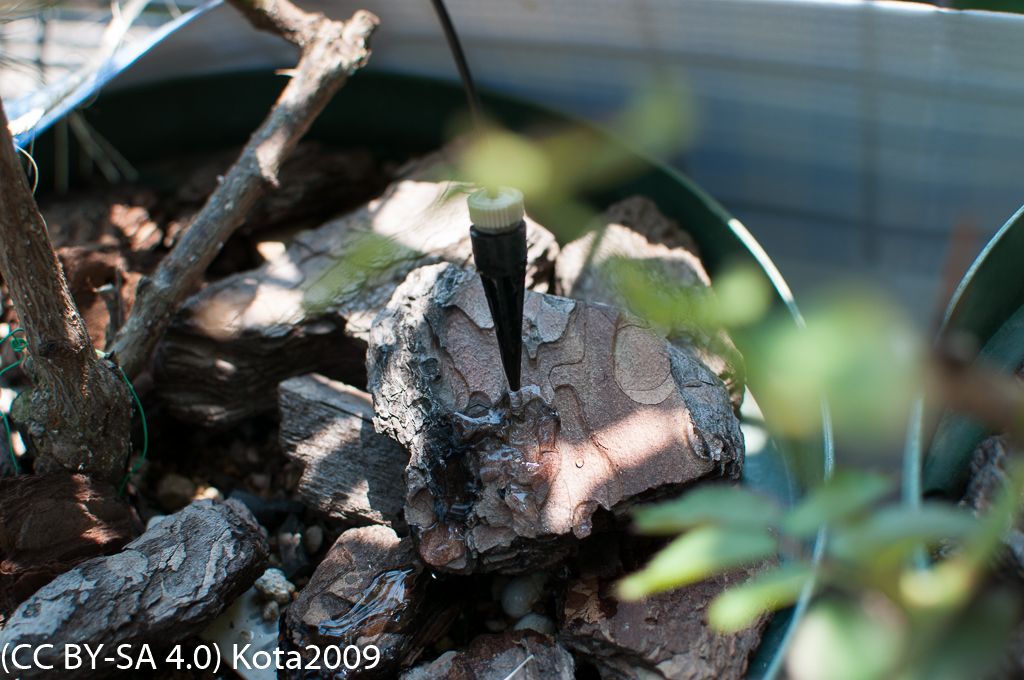 f:id:kota2009:20170709101432j:plain