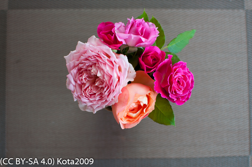 f:id:kota2009:20170713054515j:plain