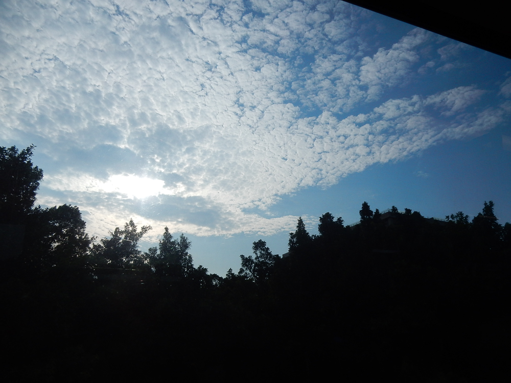 f:id:kota2009:20170725175519j:plain f:id:kota2009:20170725175519j:plain