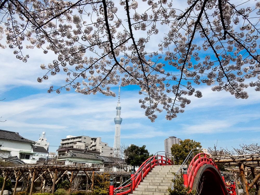 f:id:kota2009:20180326102205j:plain