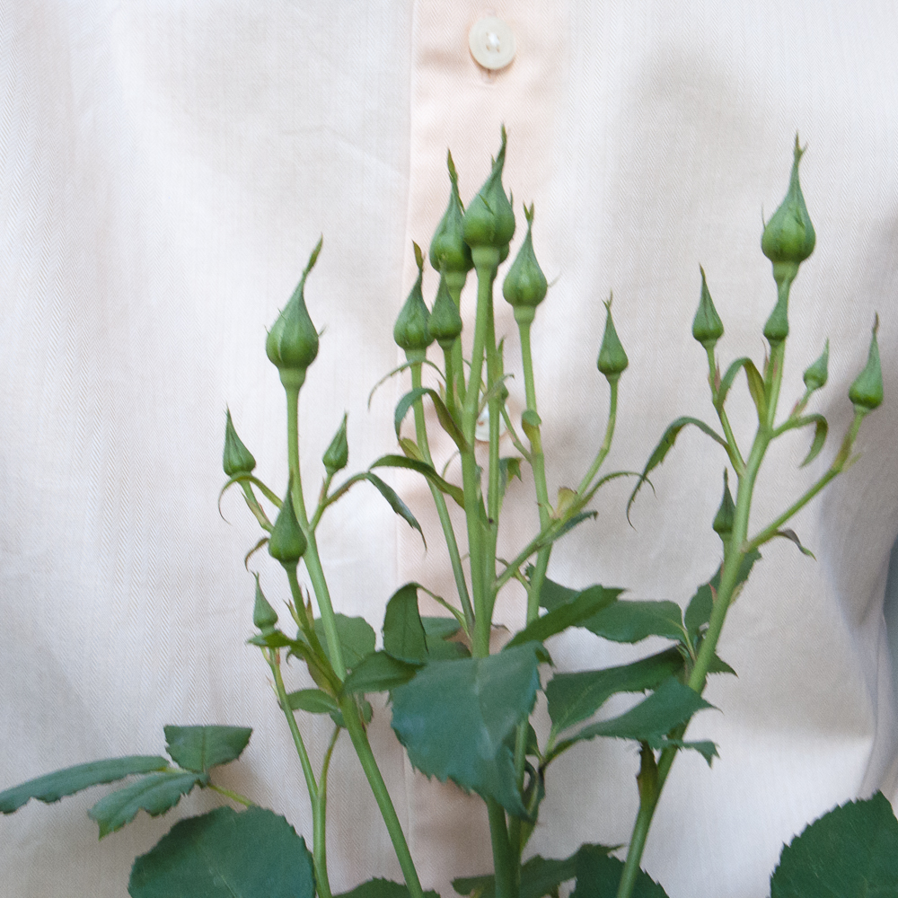 f:id:kota2009:20180428073326j:plain