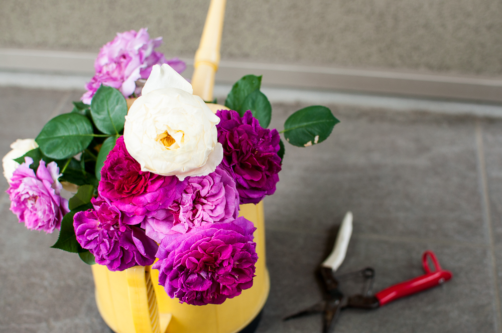 f:id:kota2009:20180513103421j:plain