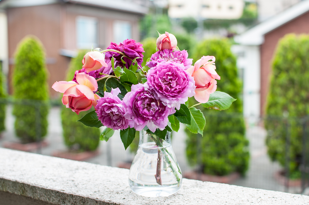 f:id:kota2009:20180513111816j:plain