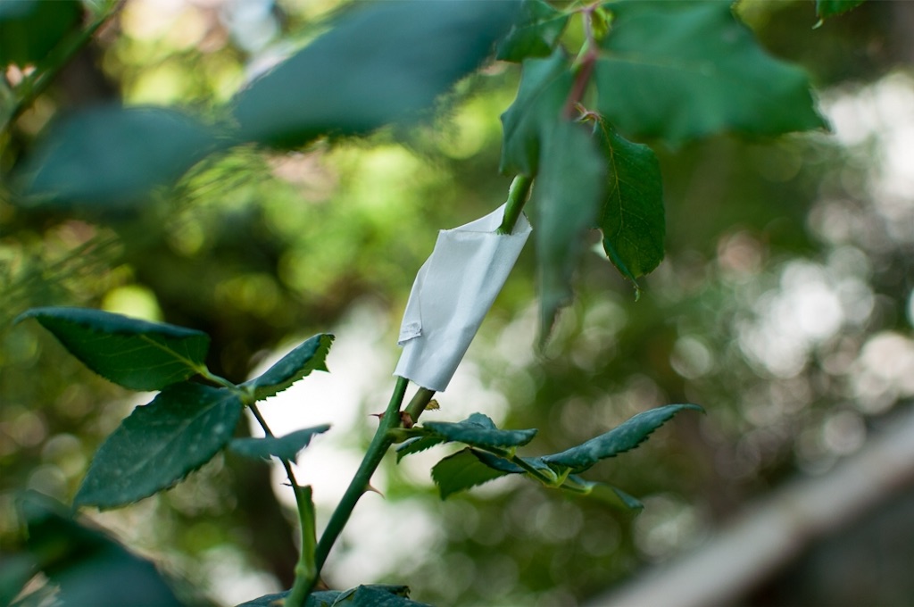 f:id:kota2009:20180527094912j:image