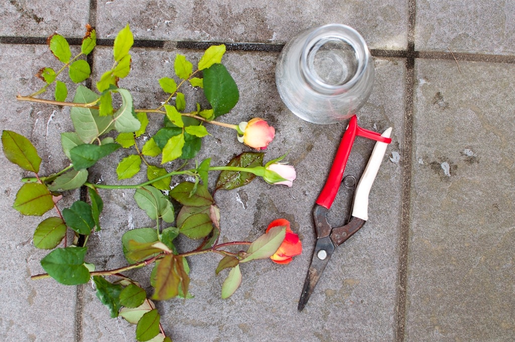 f:id:kota2009:20180527095606j:image