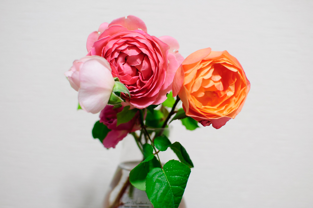 f:id:kota2009:20180528211009j:plain