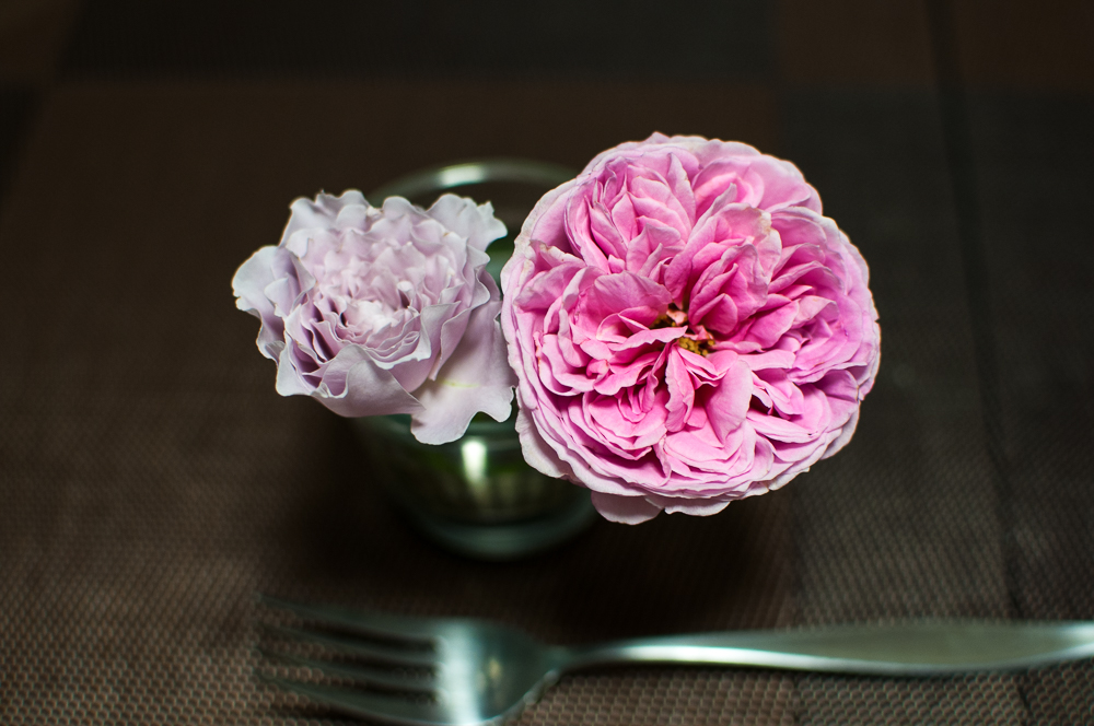 f:id:kota2009:20180605194003j:plain