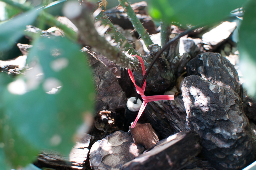 f:id:kota2009:20180609082108j:plain