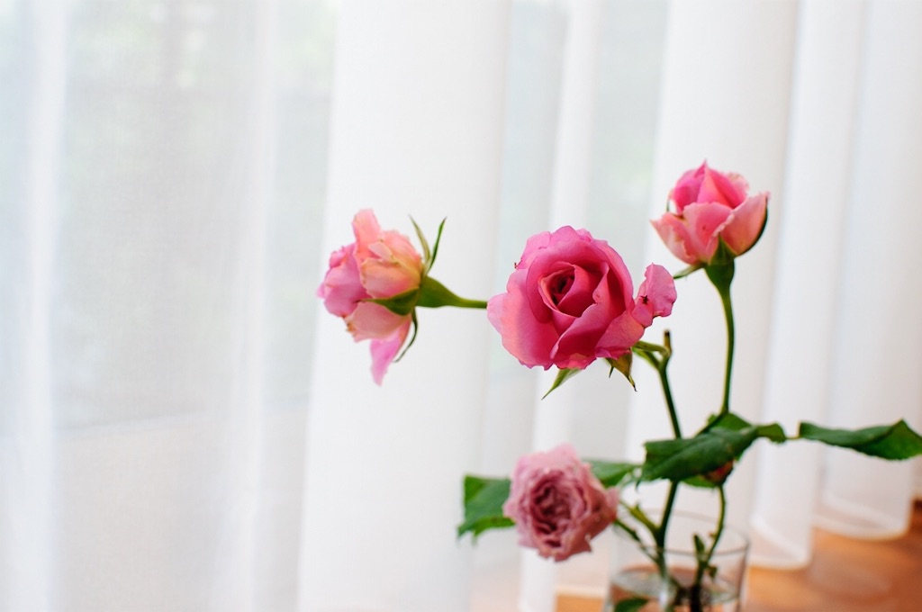 f:id:kota2009:20180610172645j:image