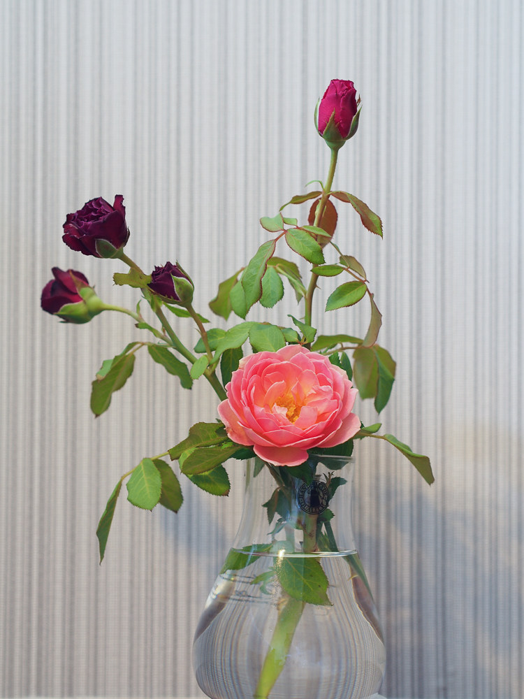 f:id:kota2009:20180805093229j:plain