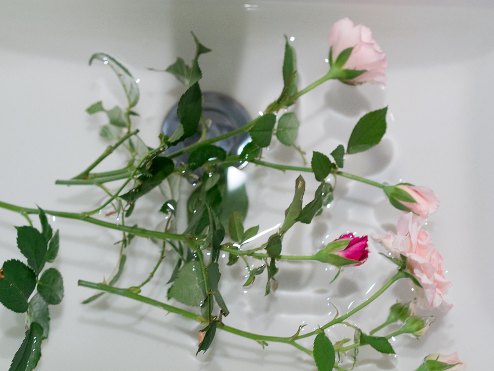 f:id:kota2009:20180815161114j:plain