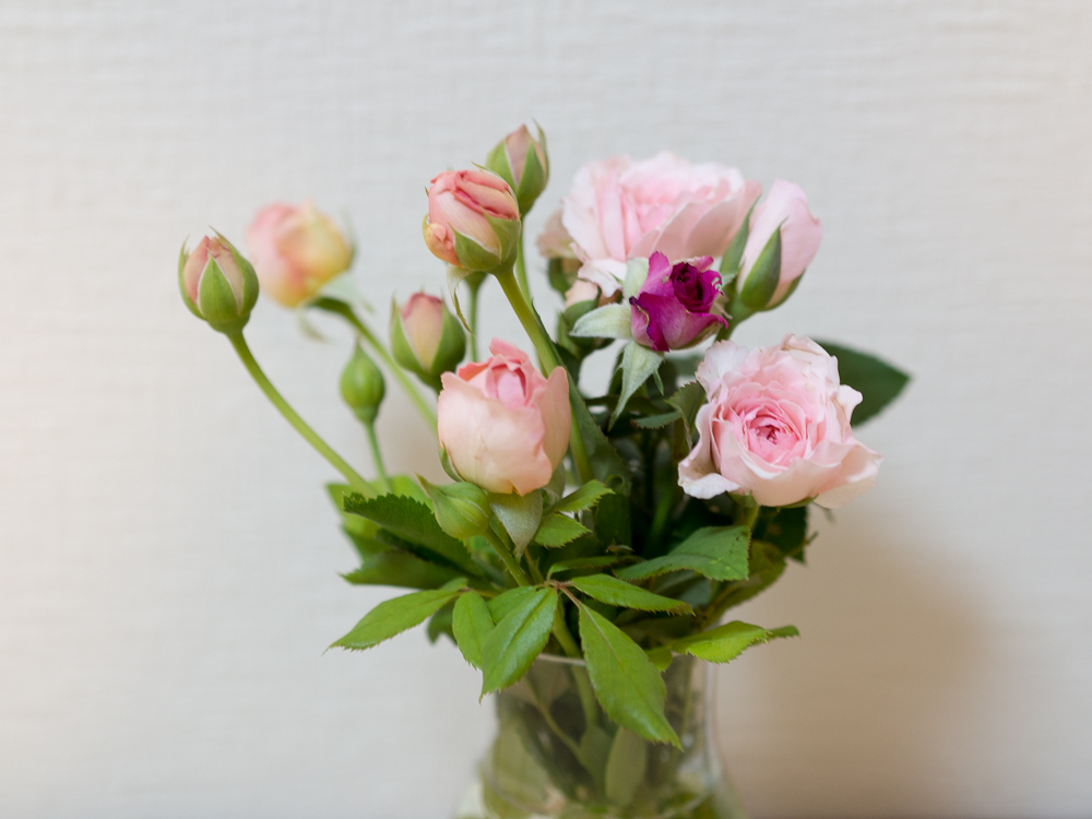 f:id:kota2009:20180815203230j:plain