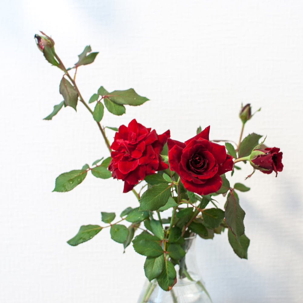 f:id:kota2009:20180825104847j:plain