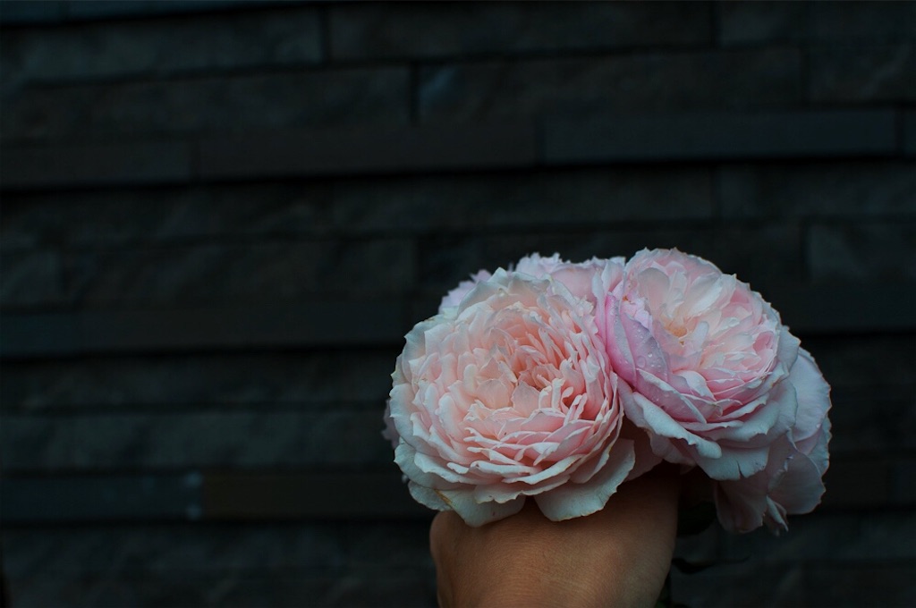 f:id:kota2009:20180929105221j:image