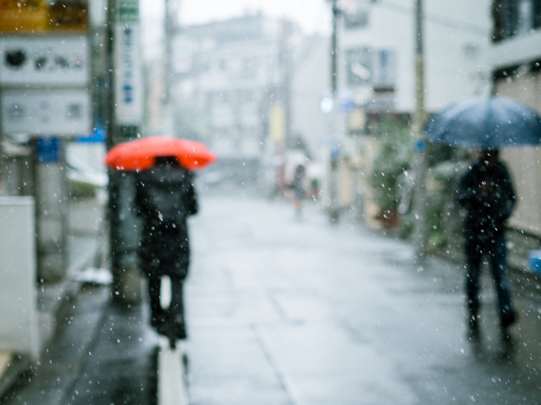 f:id:kota2009:20190209103005j:plain