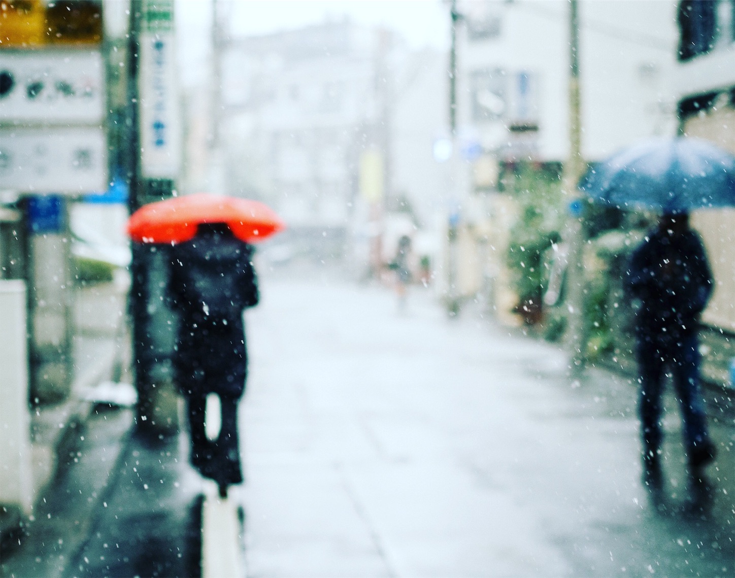 f:id:kota2009:20190210073958j:plain f:id:kota2009:20190210073958j:plain