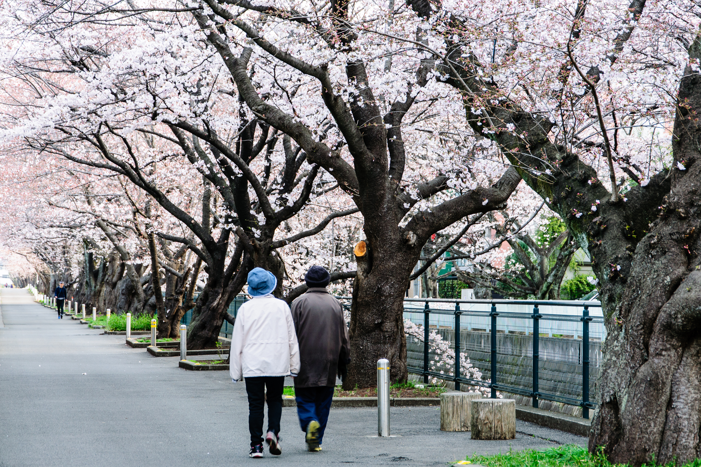 f:id:kota2009:20190328062959j:plain f:id:kota2009:20190328062959j:plain