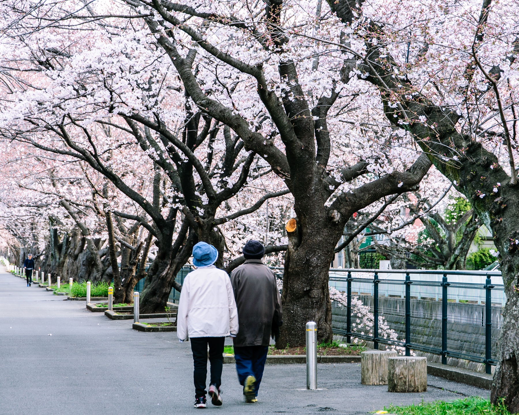 f:id:kota2009:20190328063001j:plain