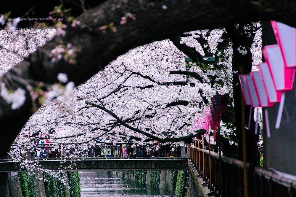 f:id:kota2009:20190330140719j:plain