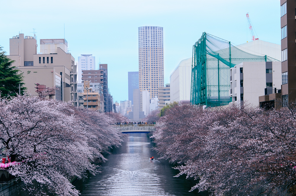 f:id:kota2009:20190330145551j:plain