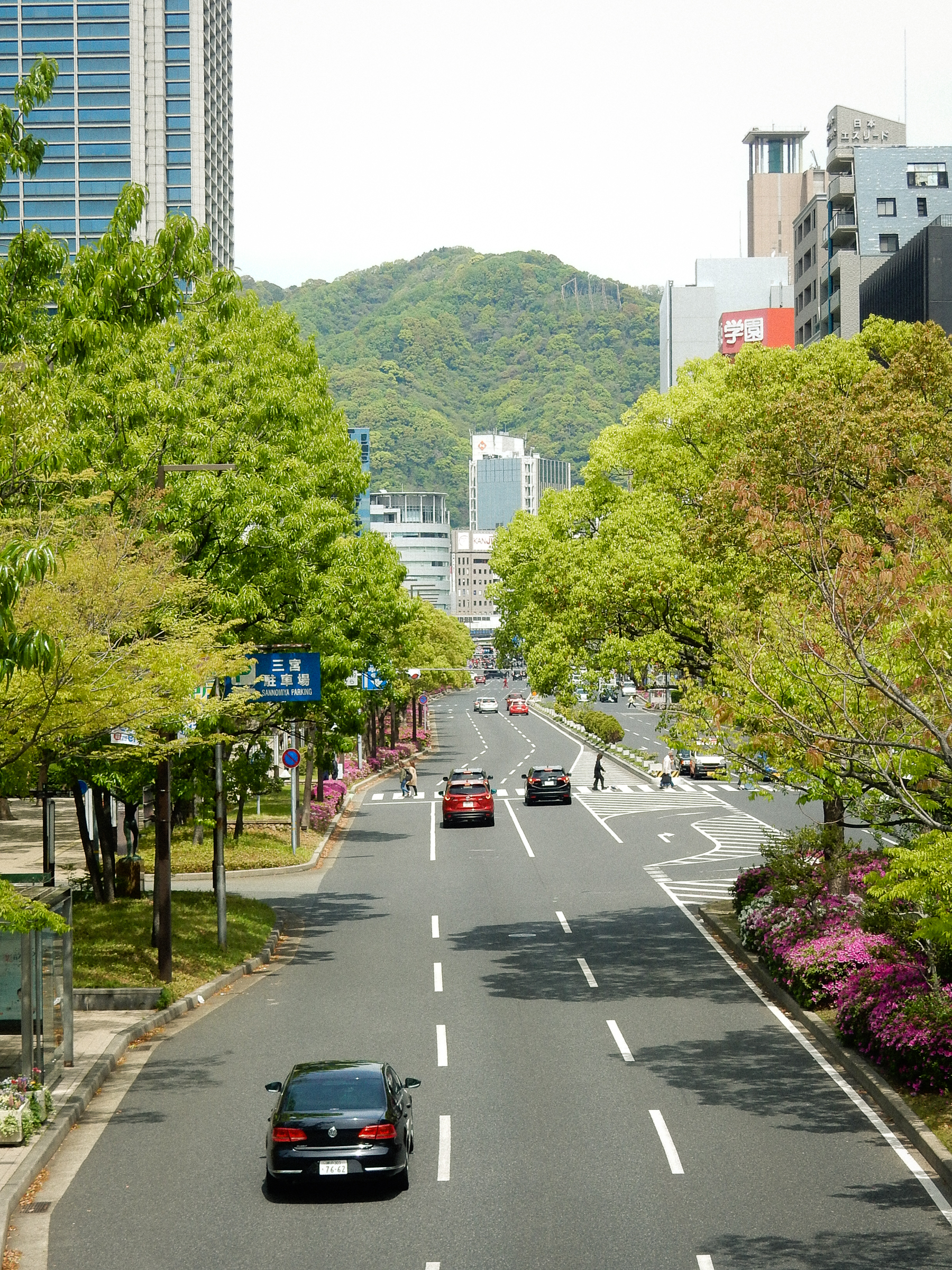 f:id:kota2009:20190428105301j:plain f:id:kota2009:20190428105301j:plain