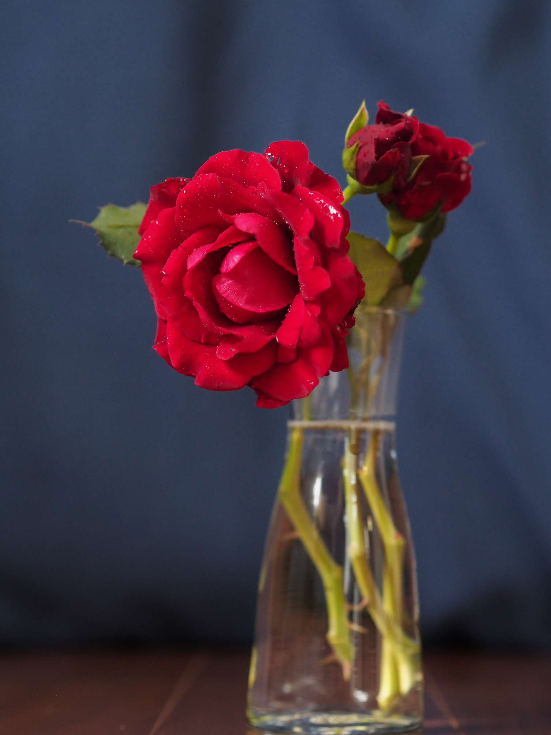 f:id:kota2009:20190707140530j:plain f:id:kota2009:20190707140530j:plain
