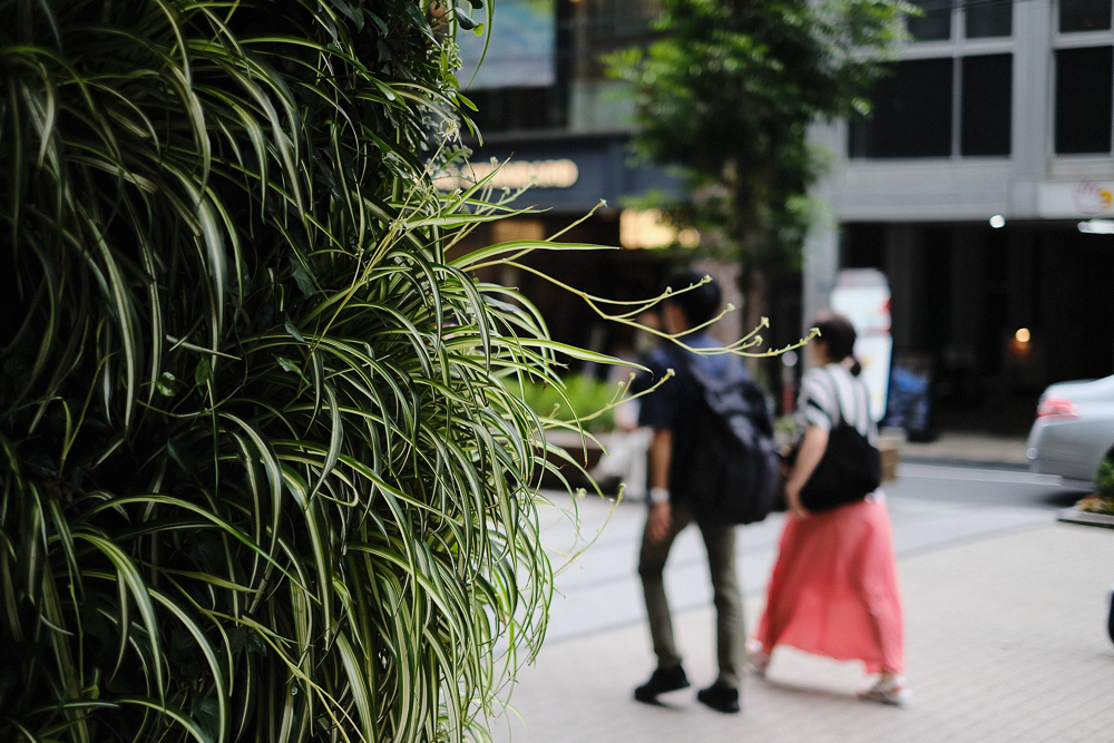 f:id:kota2009:20190720131235j:plain f:id:kota2009:20190720131235j:plain