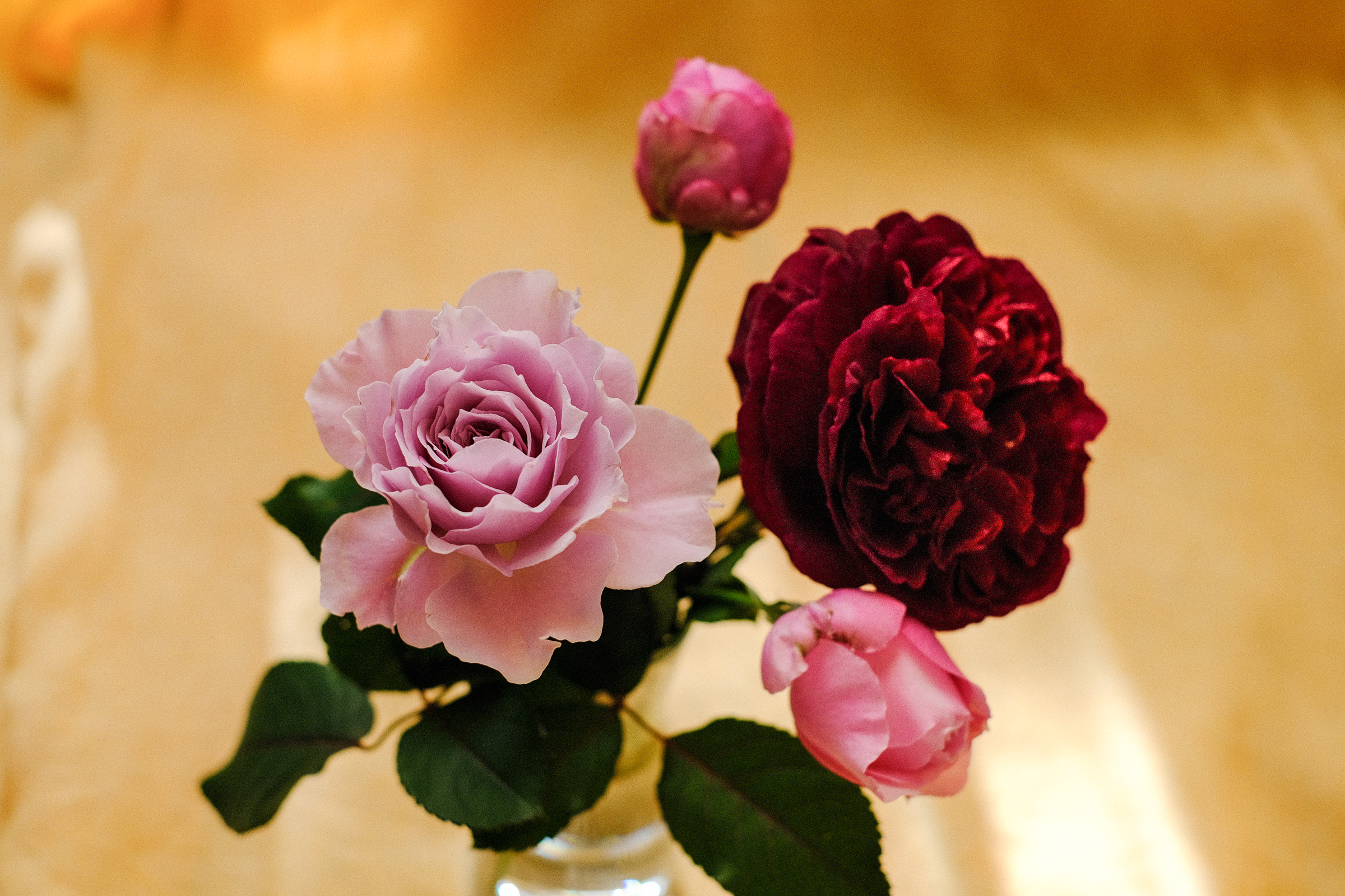 f:id:kota2009:20191117135750j:plain