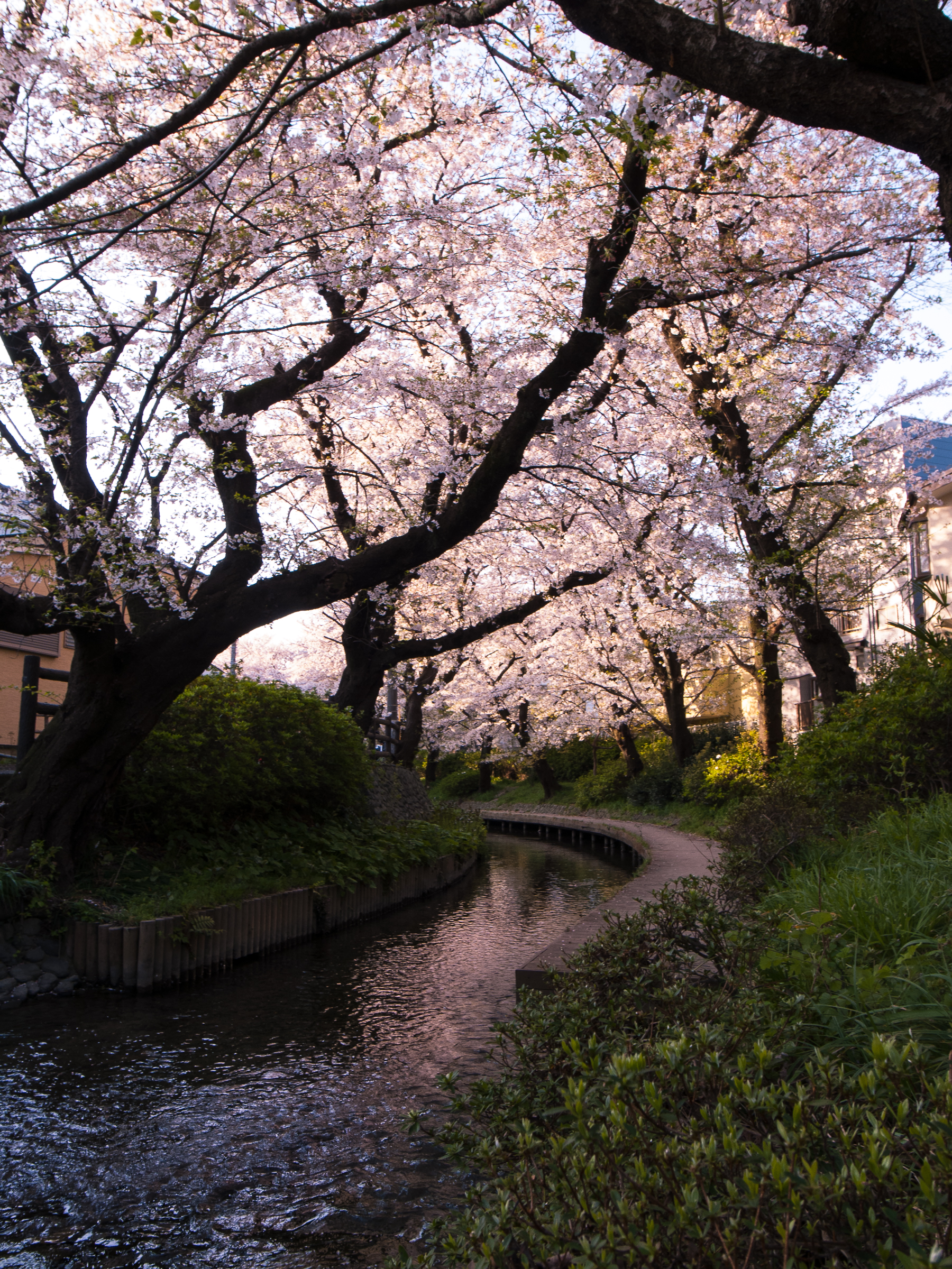 f:id:kota2009:20200403065632j:plain f:id:kota2009:20200403065632j:plain
