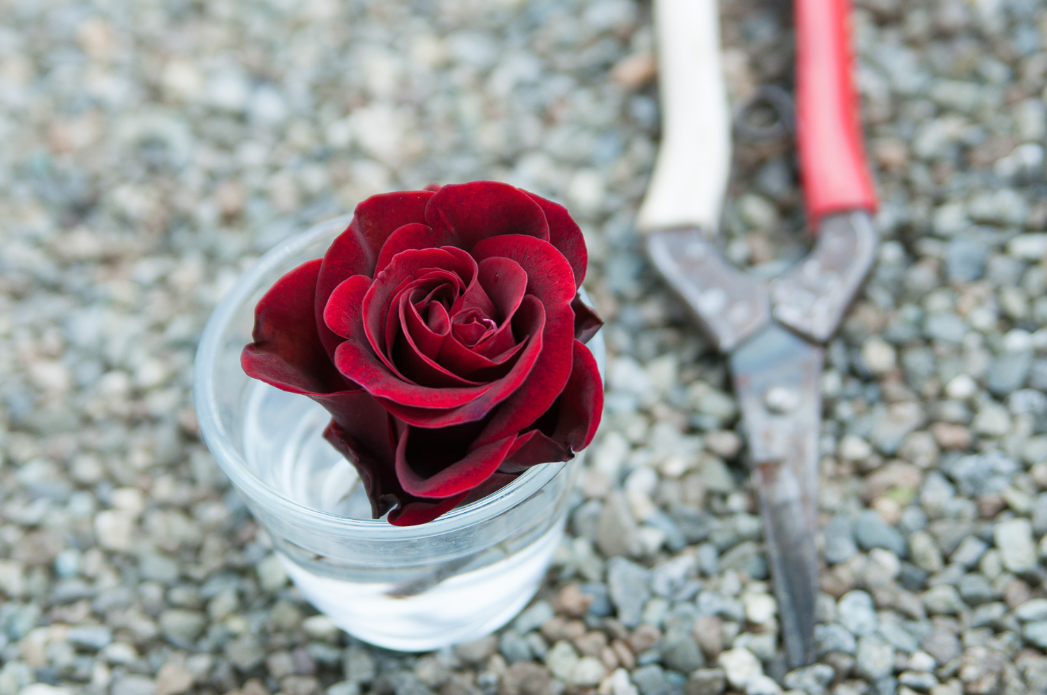 f:id:kota2009:20200501112249j:plain