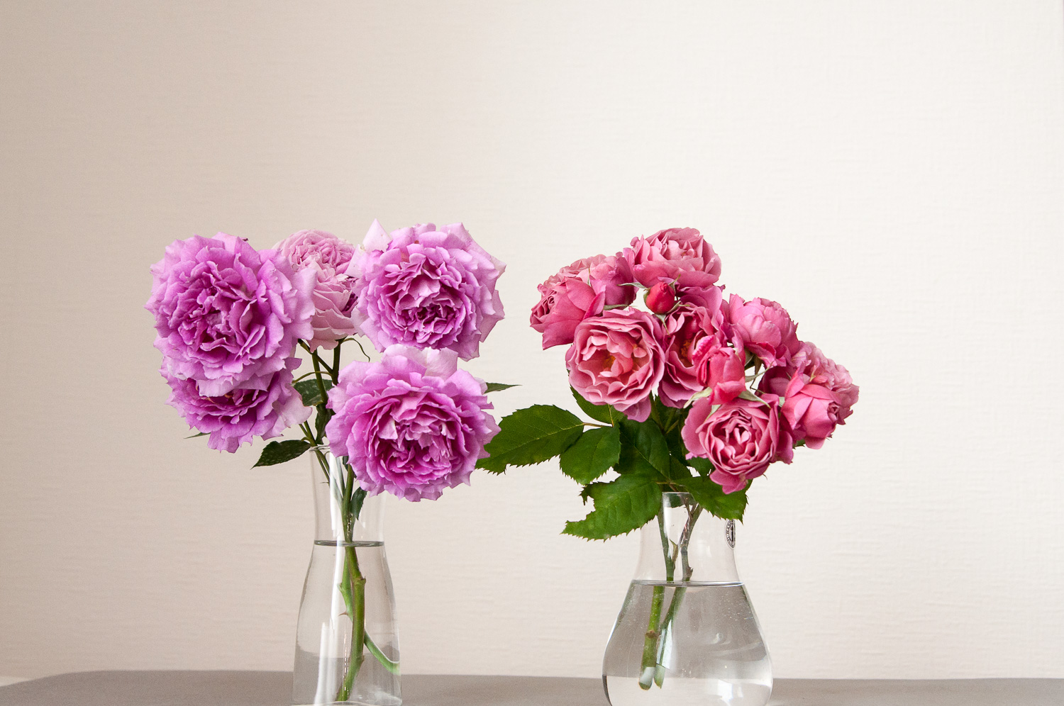 f:id:kota2009:20200520063928j:plain